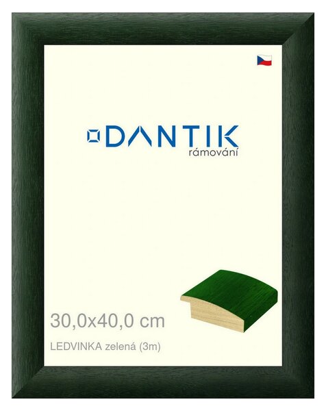 DANTIK rám na obraz 30x40 | LEDVINKA zelená (Plexi Čiré)