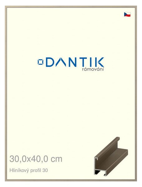 DANTIK rám na obraz 30x40 | ALU champagne (Plexi Čiré)