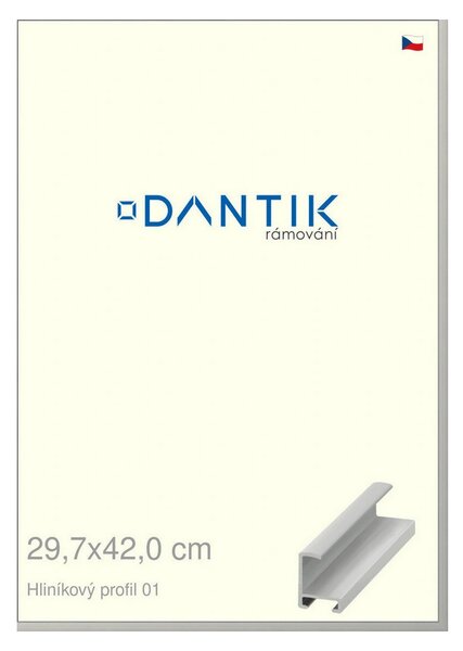 DANTIK rám na obraz 29,7x42 | ALU Stříbrná matná (Plexi Čiré)