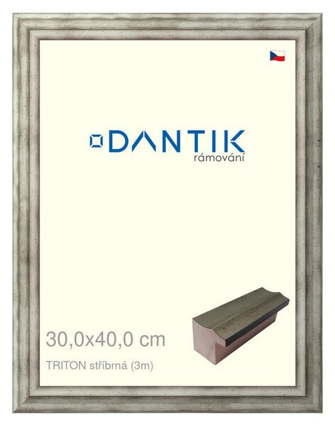 DANTIK rám na obraz 30x40 | TRITON stříbrná (Plexi Čiré)