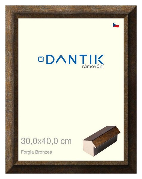 DANTIK rám na obraz 30x40 | Forgia Bronzea (Plexi Čiré)