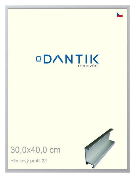 DANTIK rám na obraz 30x40 | ALU Stříbrná matná (Plexi Čiré)