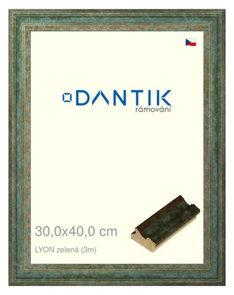 DANTIK rám na obraz 30x40 | LYON zelená (Plexi Čiré)