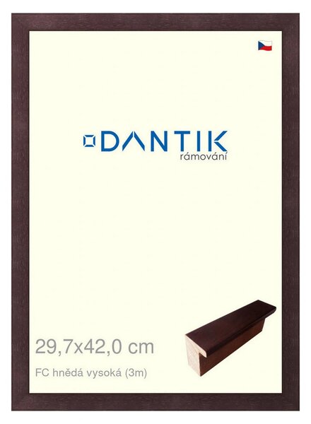 DANTIK rám na obraz 29,7x42 | FC hnědá vysoká (Plexi Čiré)