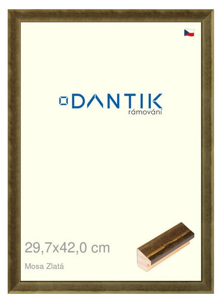 DANTIK rám na obraz 29,7x42 | Mosa zlatá (Plexi Čiré)