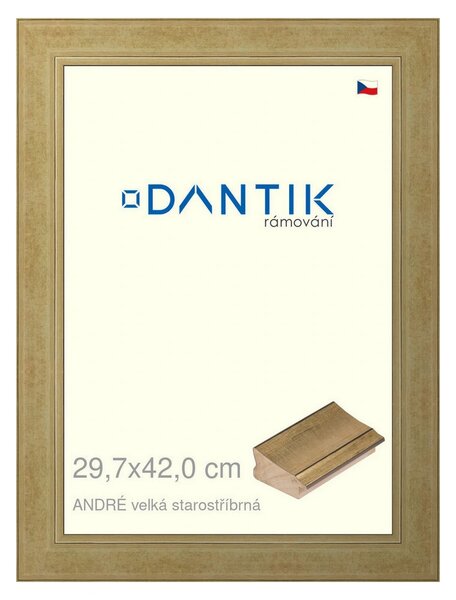 DANTIK rám na obraz 29,7x42 | ANDRÉ velká starostříbrná (Plexi Čiré)