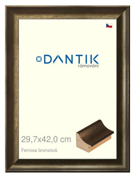 DANTIK rám na obraz 29,7x42 | Ferrosa bronzová (Plexi Čiré)
