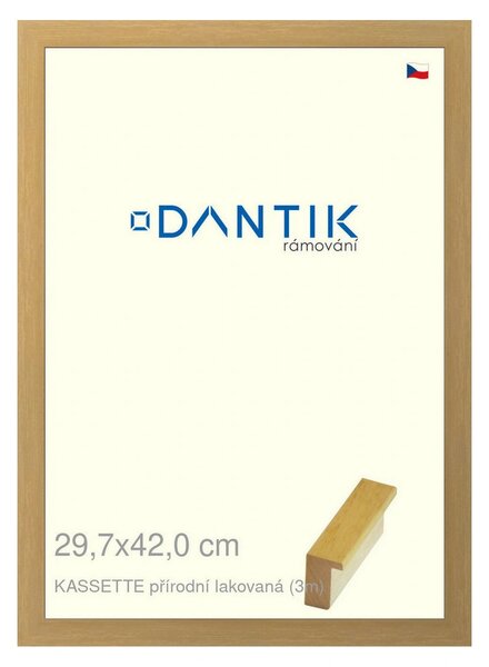 DANTIK rám na obraz 29,7x42 | KASSETTE přírodní lakovaná (Plexi Čiré)