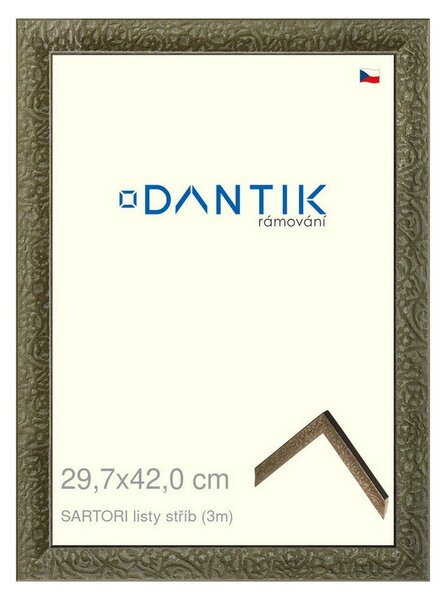 DANTIK rám na obraz 29,7x42 | SARTORI listy stříb (Plexi Čiré)