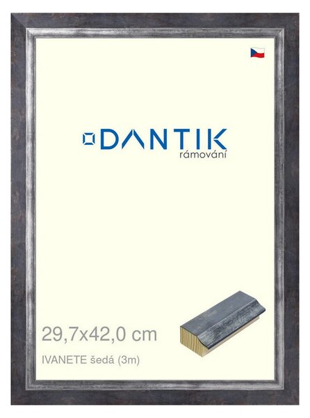 DANTIK rám na obraz 29,7x42 | IVANETE šedá (Plexi Čiré)