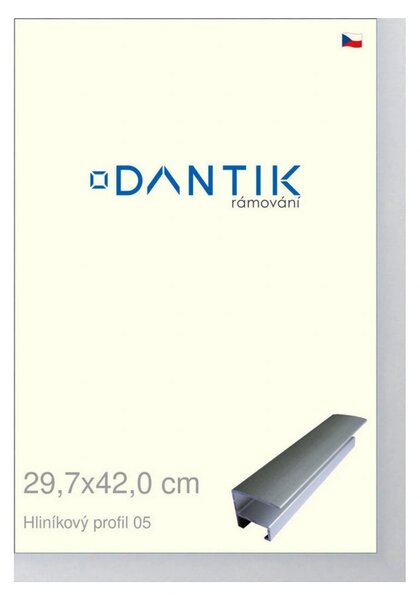 DANTIK rám na obraz 29,7x42 | ALU Stříbrná matná (Plexi Čiré)