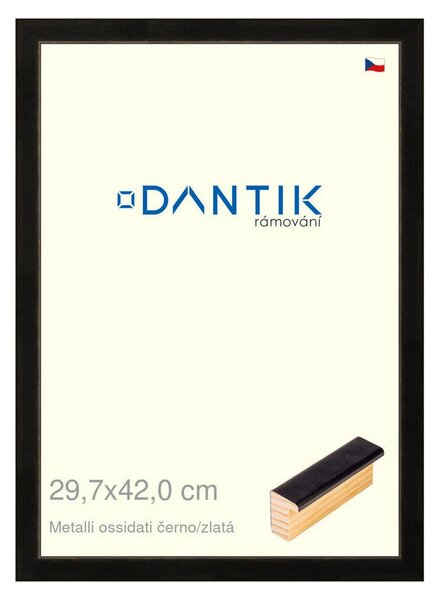DANTIK rám na obraz 29,7x42 | Metalli oidati černozlatá (Plexi Čiré)