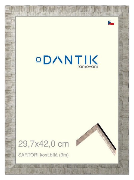 DANTIK rám na obraz 29,7x42 | SARTORI kost.bílá (Plexi Čiré)