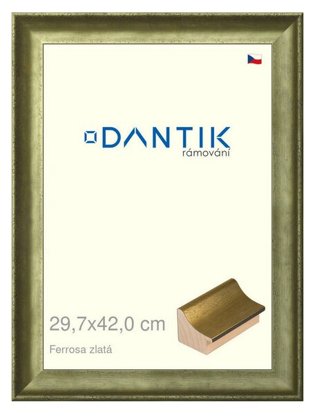 DANTIK rám na obraz 29,7x42 | Ferrosa zlatá (Plexi Čiré)