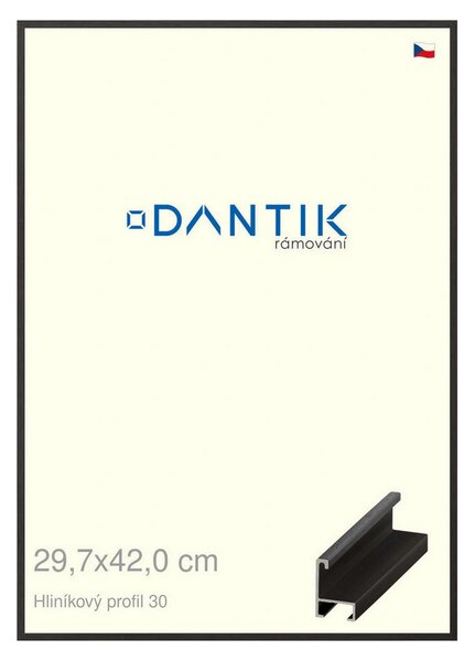 DANTIK rám na obraz 29,7x42 | ALU Dýha černá (Plexi Čiré)