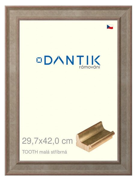 DANTIK rám na obraz 29,7x42 | TOOTH malá stříbrná (Plexi Čiré)