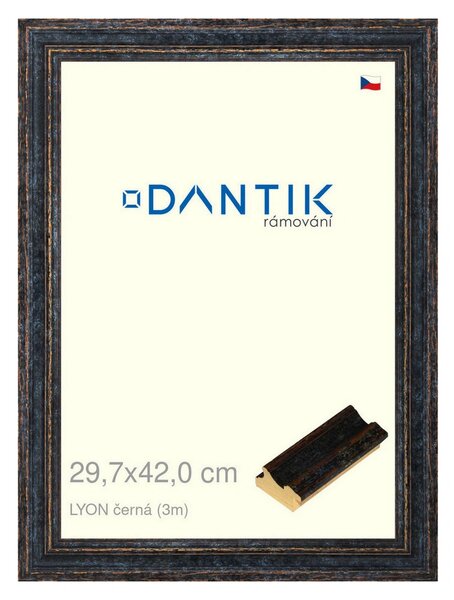DANTIK rám na obraz 29,7x42 | LYON černá (Plexi Čiré)