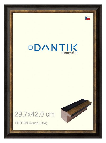DANTIK rám na obraz 29,7x42 | TRITON černá (Plexi Čiré)