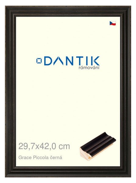 DANTIK rám na obraz 29,7x42 | Grace Piccola černá (Plexi Čiré)