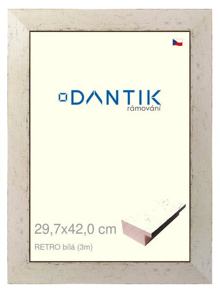 DANTIK rám na obraz 29,7x42 | RETRO bílá (Plexi Čiré)