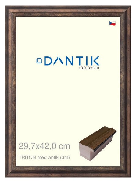 DANTIK rám na obraz 29,7x42 | TRITON měď antik (Plexi Čiré)