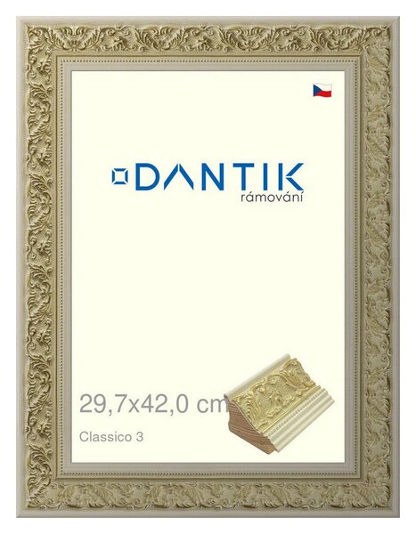 DANTIK rám na obraz 29,7x42 | Claico 3 (Plexi Čiré)