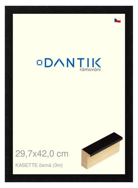 DANTIK rám na obraz 29,7x42 | KASSETTE černá (Plexi Čiré)