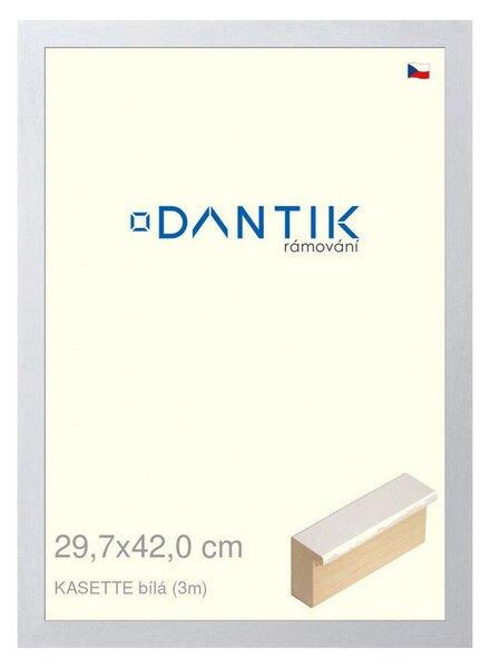 DANTIK rám na obraz 29,7x42 | KASSETTE bílá (Plexi Čiré)
