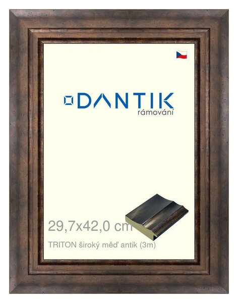 DANTIK rám na obraz 29,7x42 | TRITON široký měď antik (Plexi Čiré)