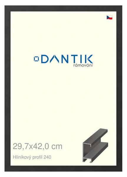 DANTIK rám na obraz 29,7x42 | ALU Černá matná (Plexi Čiré)