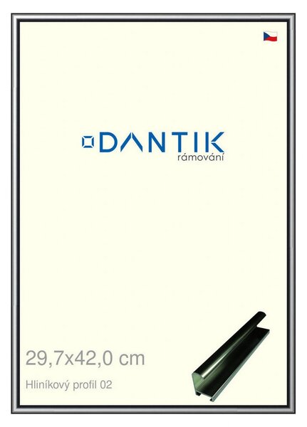DANTIK rám na obraz 29,7x42 | ALU Šedá leská (Plexi Čiré)