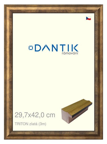 DANTIK rám na obraz 29,7x42 | TRITON zlatá (Plexi Čiré)