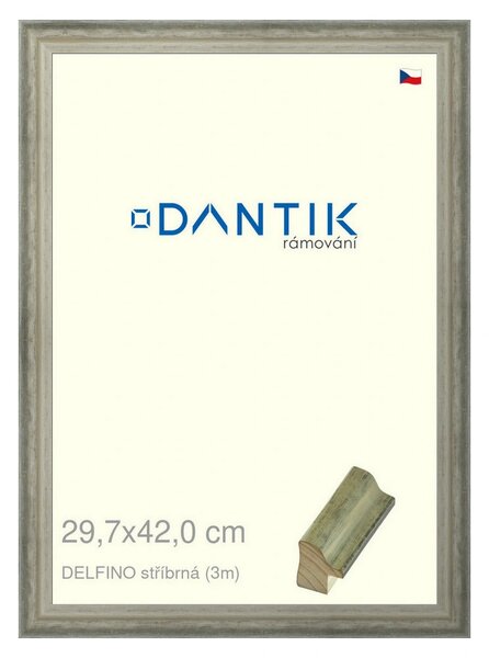 DANTIK rám na obraz 29,7x42 | DELFINO stříbrná (Plexi Čiré)