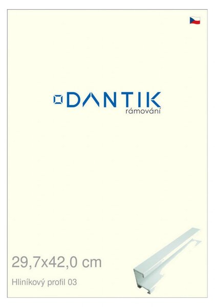 DANTIK rám na obraz 29,7x42 | ALU Bílá matná (Plexi Čiré)