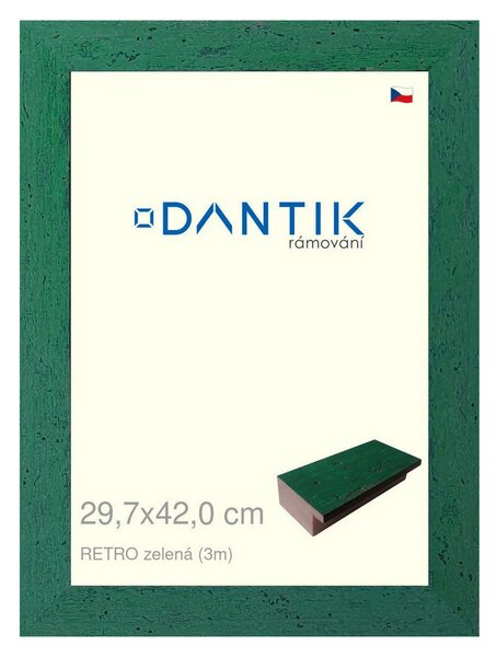 DANTIK rám na obraz 29,7x42 | RETRO zelená (Plexi Čiré)