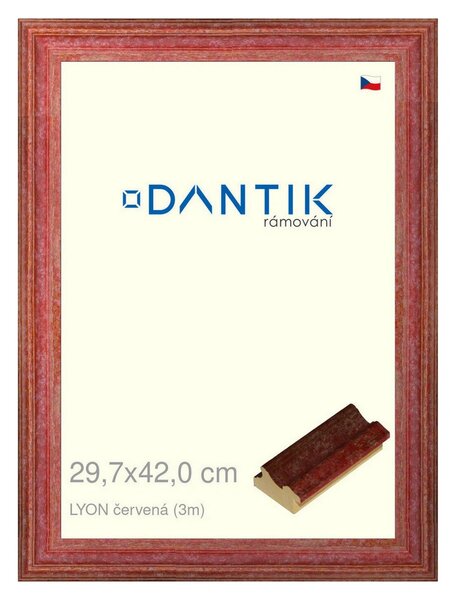 DANTIK rám na obraz 29,7x42 | LYON červená (Plexi Čiré)