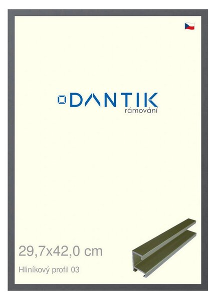 DANTIK rám na obraz 29,7x42 | ALU Platina matná (Plexi Čiré)