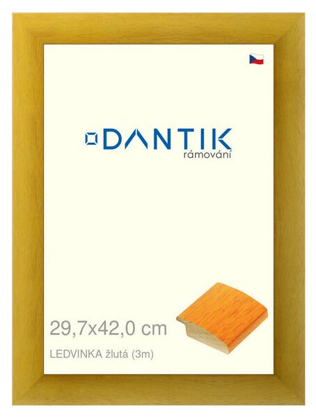 DANTIK rám na obraz 29,7x42 | LEDVINKA žlutá (Plexi Čiré)