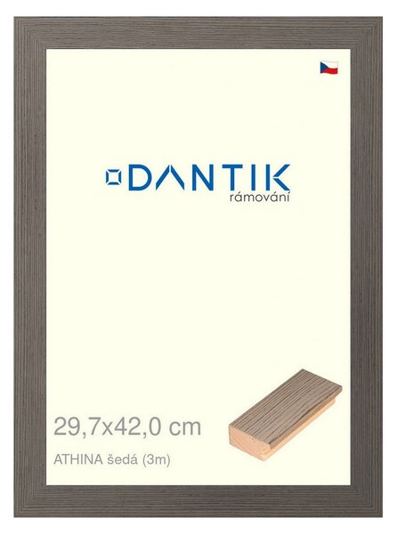 DANTIK rám na obraz 29,7x42 | ATHINA šedá (Plexi Čiré)