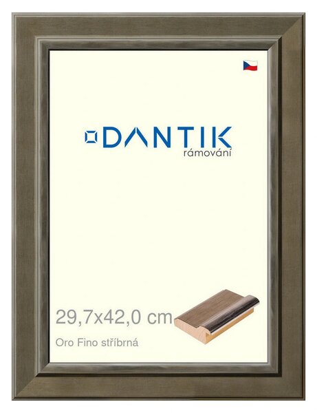 DANTIK rám na obraz 29,7x42 | Oro Fino stříbrná (Plexi Čiré)