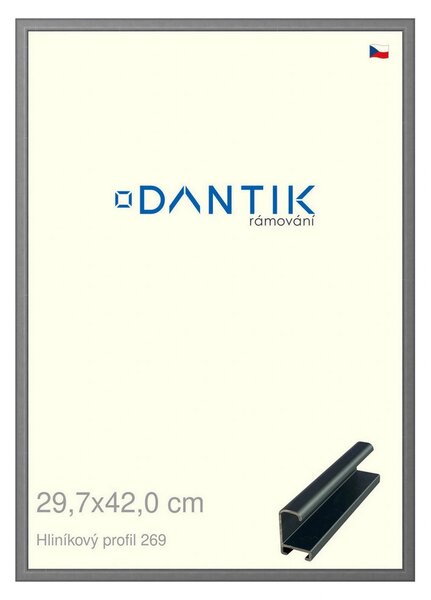 DANTIK rám na obraz 29,7x42 | ALU Platina matná (Plexi Čiré)