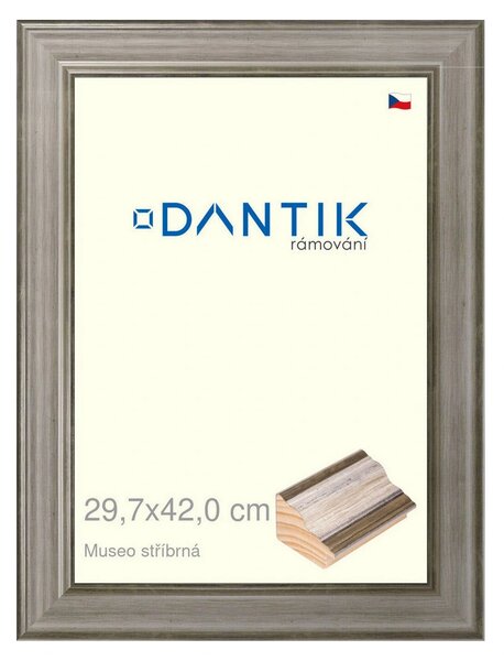 DANTIK rám na obraz 29,7x42 | Museo stříbrná (Plexi Čiré)