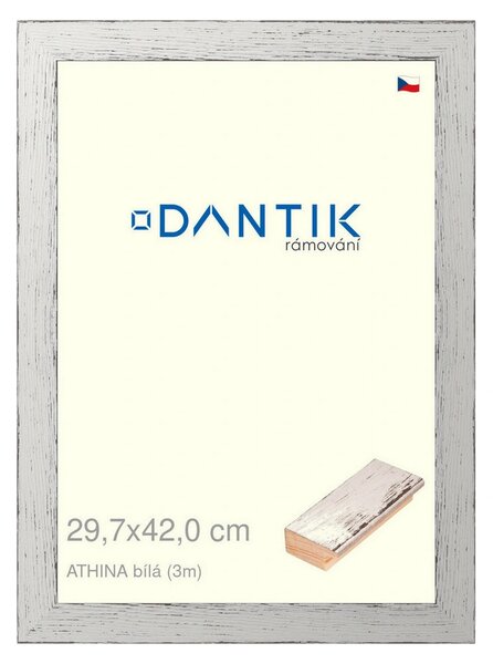 DANTIK rám na obraz 29,7x42 | ATHINA Bílá (Plexi Čiré)