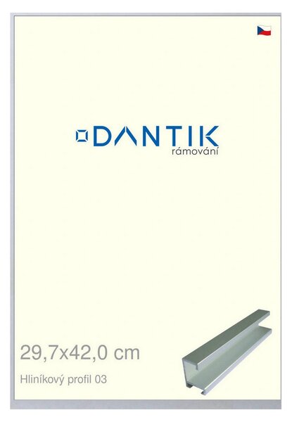 DANTIK rám na obraz 29,7x42 | ALU Stříbrná matná (Plexi Čiré)