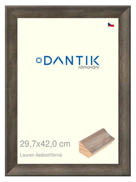DANTIK rám na obraz 29,7x42 | Lauren šedostříbrná (Plexi Čiré)