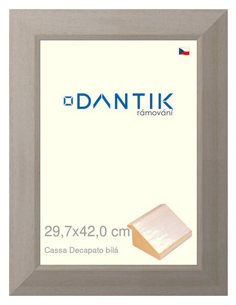 DANTIK rám na obraz 29,7x42 | Caa Decapato bílá (Plexi Čiré)