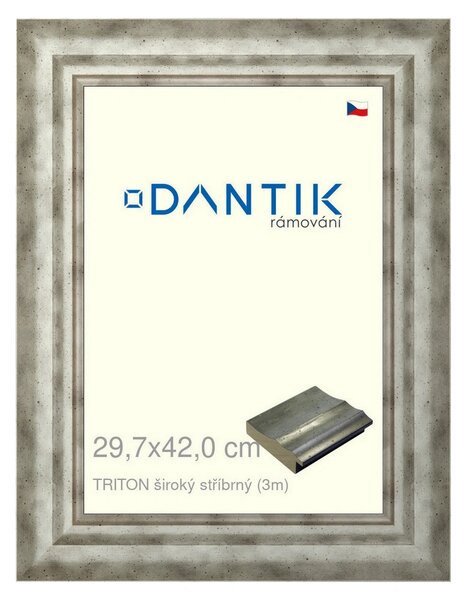 DANTIK rám na obraz 29,7x42 | TRITON široký stříbrný (Plexi Čiré)
