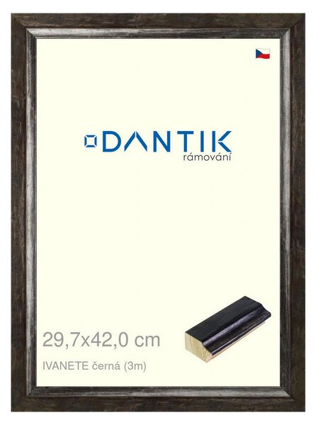 DANTIK rám na obraz 29,7x42 | IVANETE černá (Plexi Čiré)