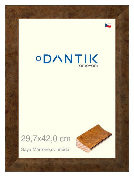 DANTIK rám na obraz 29,7x42 | Saya Marrone sv.hnědá (Plexi Čiré)