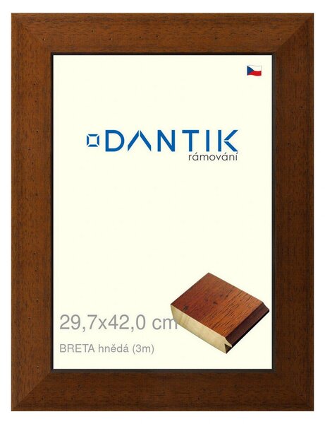 DANTIK rám na obraz 29,7x42 | BRETA hnědá (Plexi Čiré)